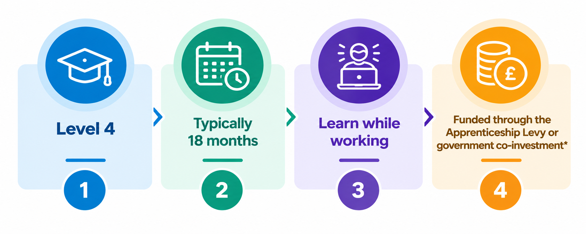 Four-Step Apprenticeship Journey Infographic